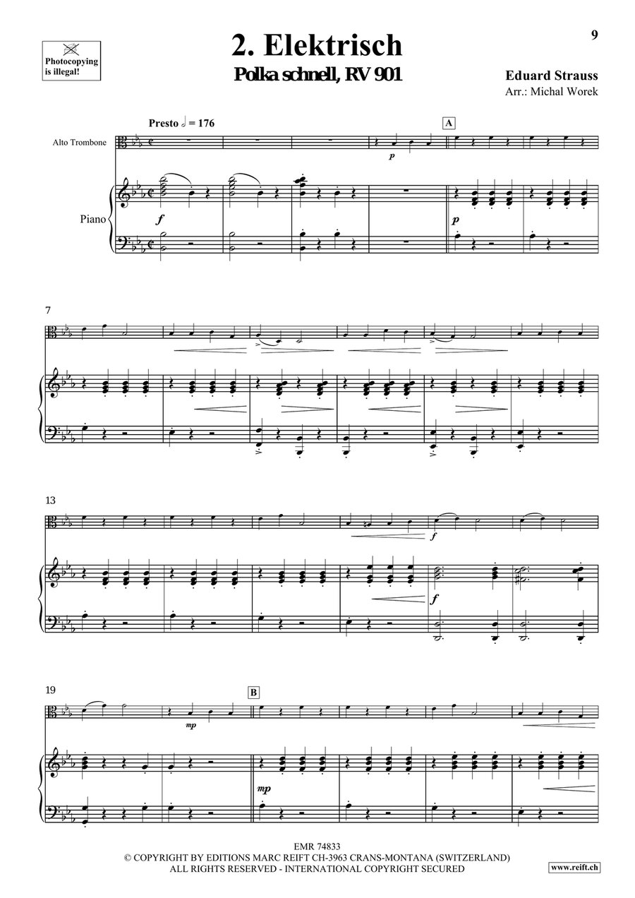 The Charm Of Vienna Volume 2 Piano Accompaniment scores gallery preview page 6