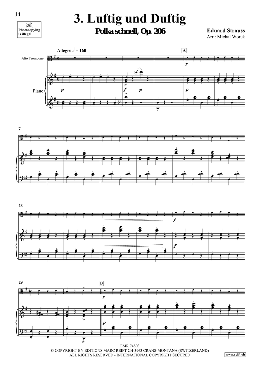 The Charm Of Vienna Volume 1 Piano Accompaniment scores gallery preview page 8