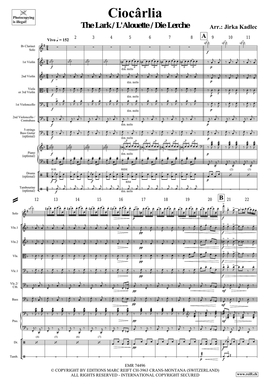 Ciocârlia Ciocârlia String Orchestra scores gallery preview page 3