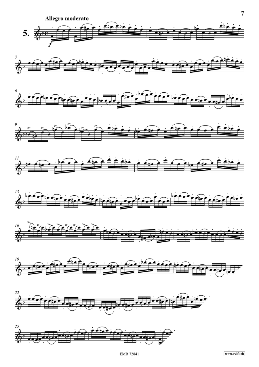 10 Caprices 10 Caprices Clarinet Solo scores gallery preview page 7