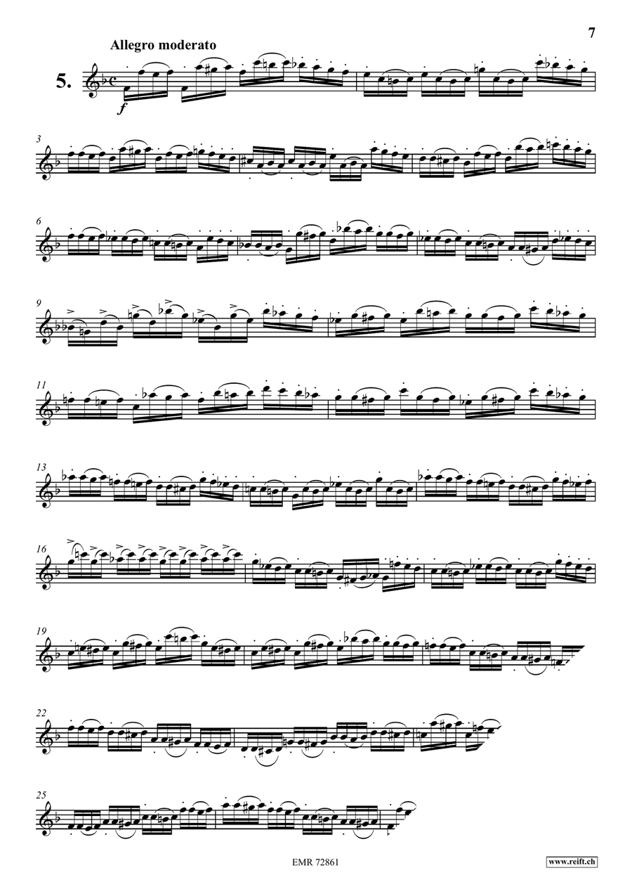 10 Caprices 10 Caprices Violin Solo scores gallery preview page 7