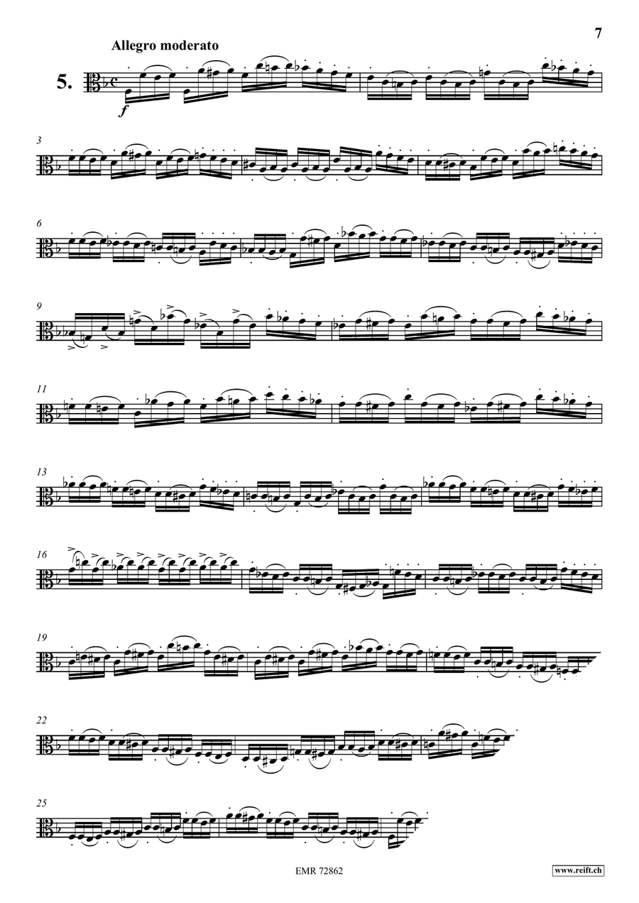 10 Caprices 10 Caprices Viola Solo scores gallery preview page 7