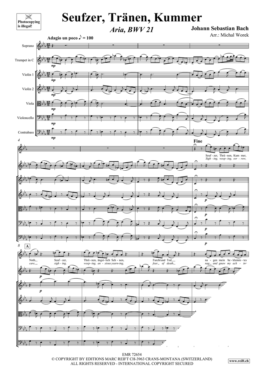 Seufzer, Tränen, Kummer Seufzer, Tränen, Kummer String Orchestra scores gallery preview page 3