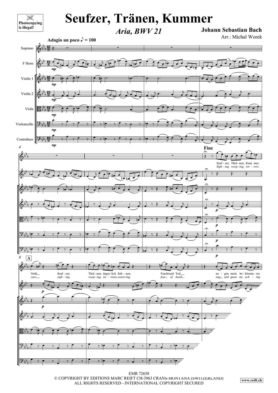 Seufzer, Tränen, Kummer Seufzer, Tränen, Kummer String Orchestra scores gallery preview page 3