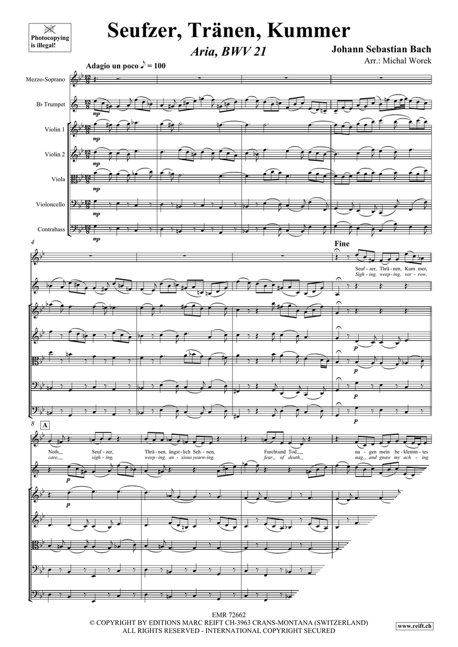 Seufzer, Tränen, Kummer Seufzer, Tränen, Kummer String Orchestra scores gallery preview page 3