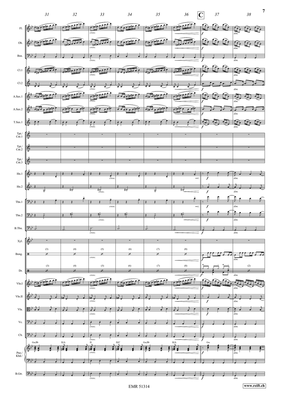 Storm Storm Orchestra scores gallery preview page 9
