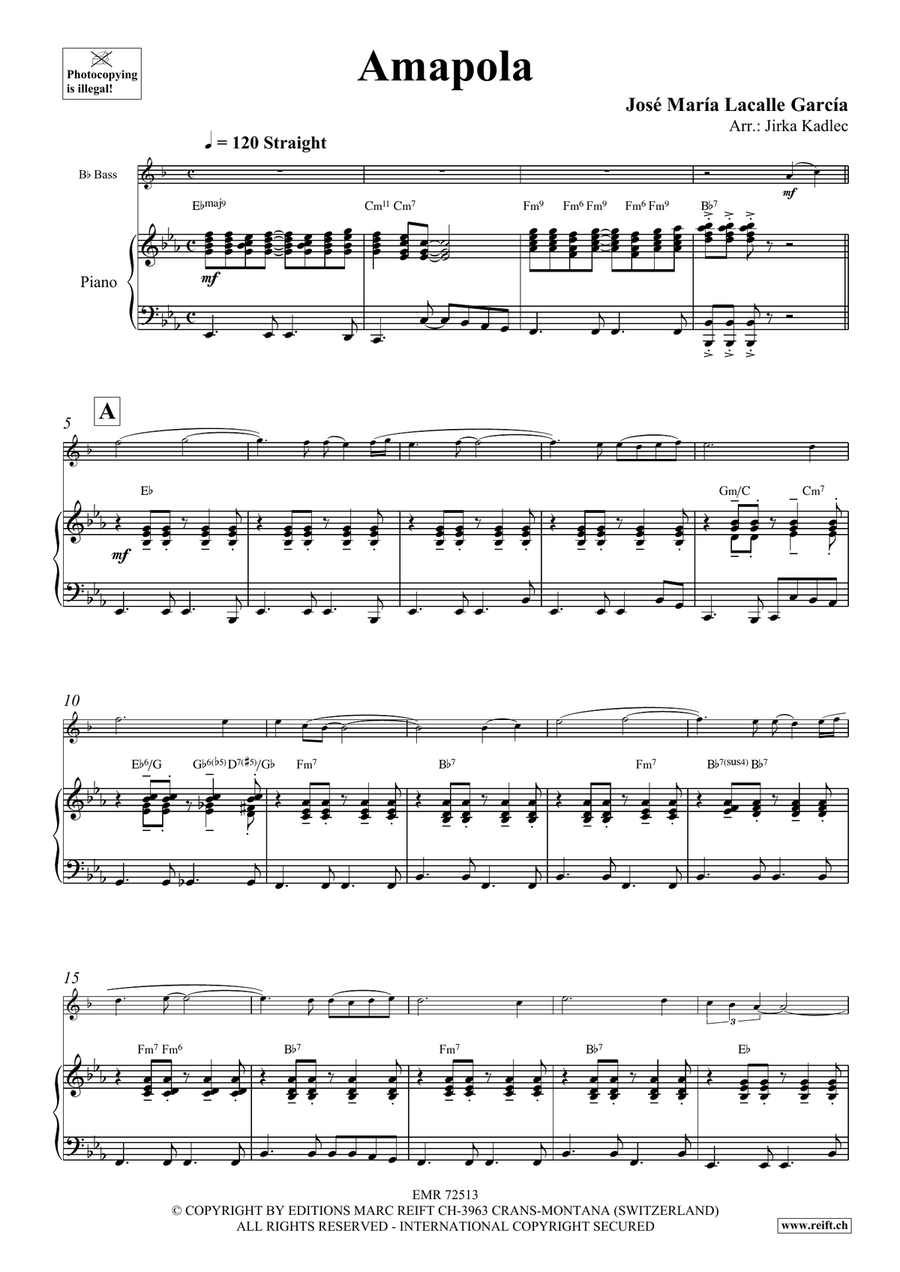 Amapola Amapola Voice Solo scores gallery preview page 4