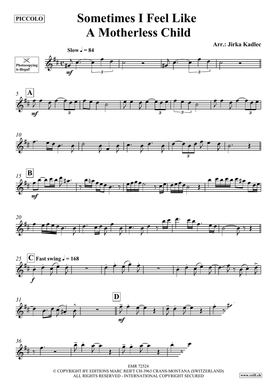 Sometimes I Feel Like A Motherless Child Piccolo scores gallery preview page 3