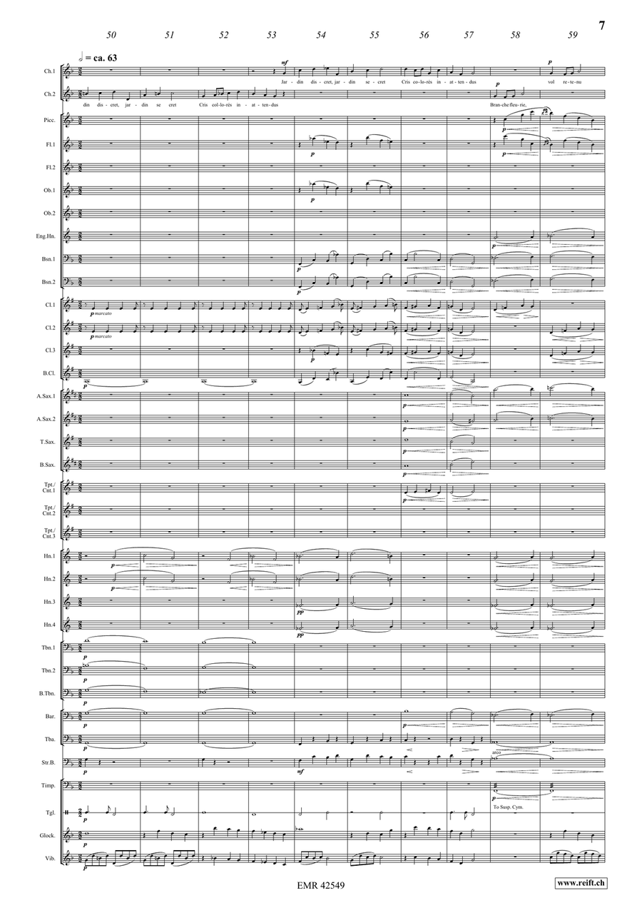 La Volière libérée 7. Clef de Vol Concert Band scores gallery preview page 8