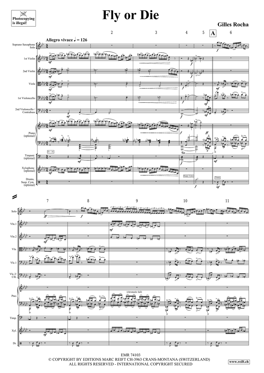 Fly or Die Fly or Die String Orchestra scores gallery preview page 4