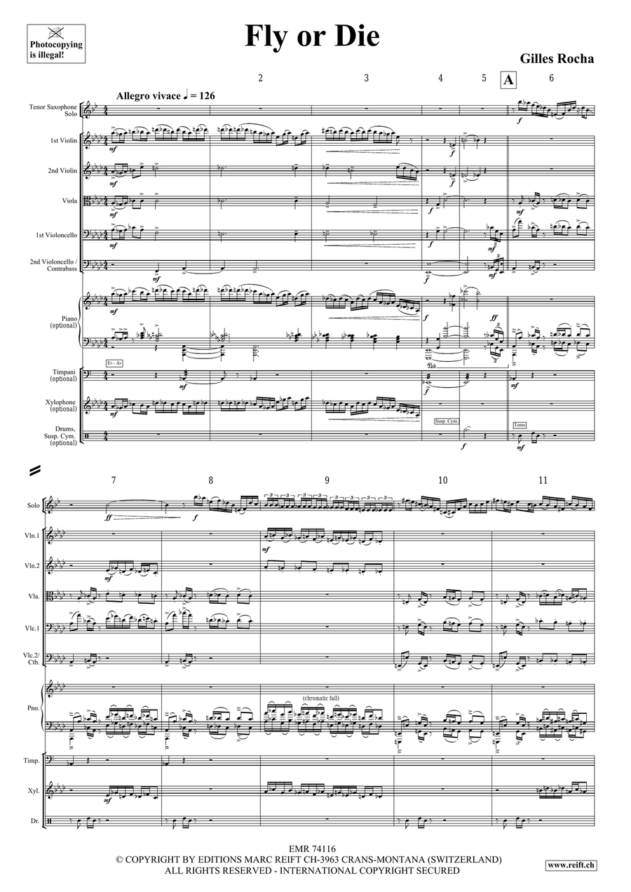 Fly or Die Fly or Die String Orchestra scores gallery preview page 4