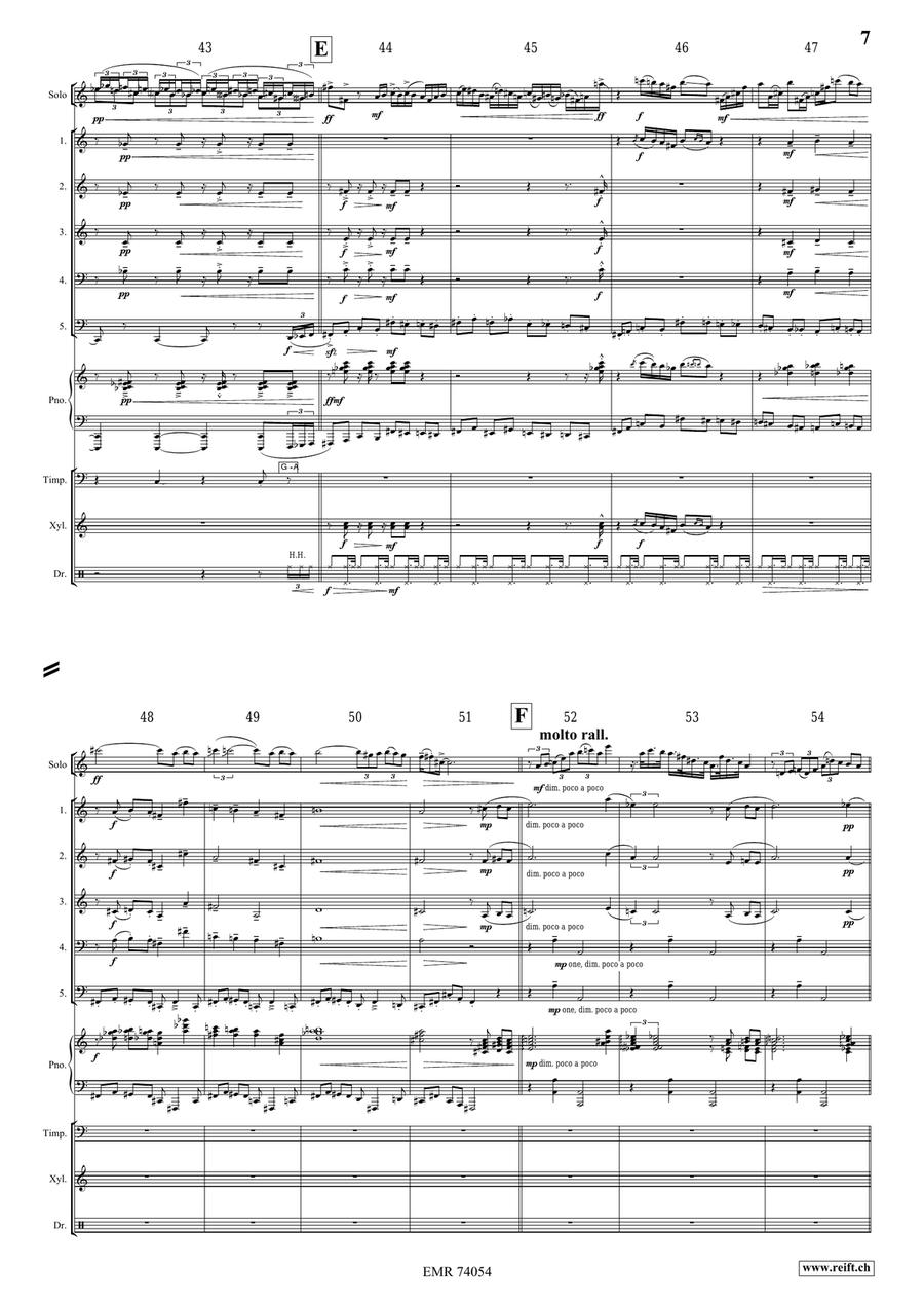 Fly or Die Fly or Die Flute Solo scores gallery preview page 8