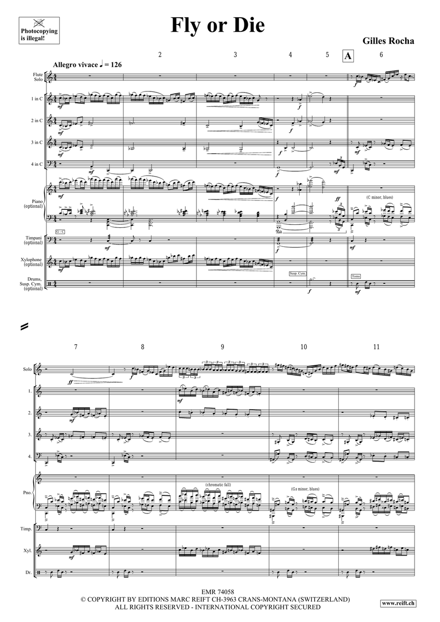 Fly or Die Fly or Die Flute Solo scores gallery preview page 4