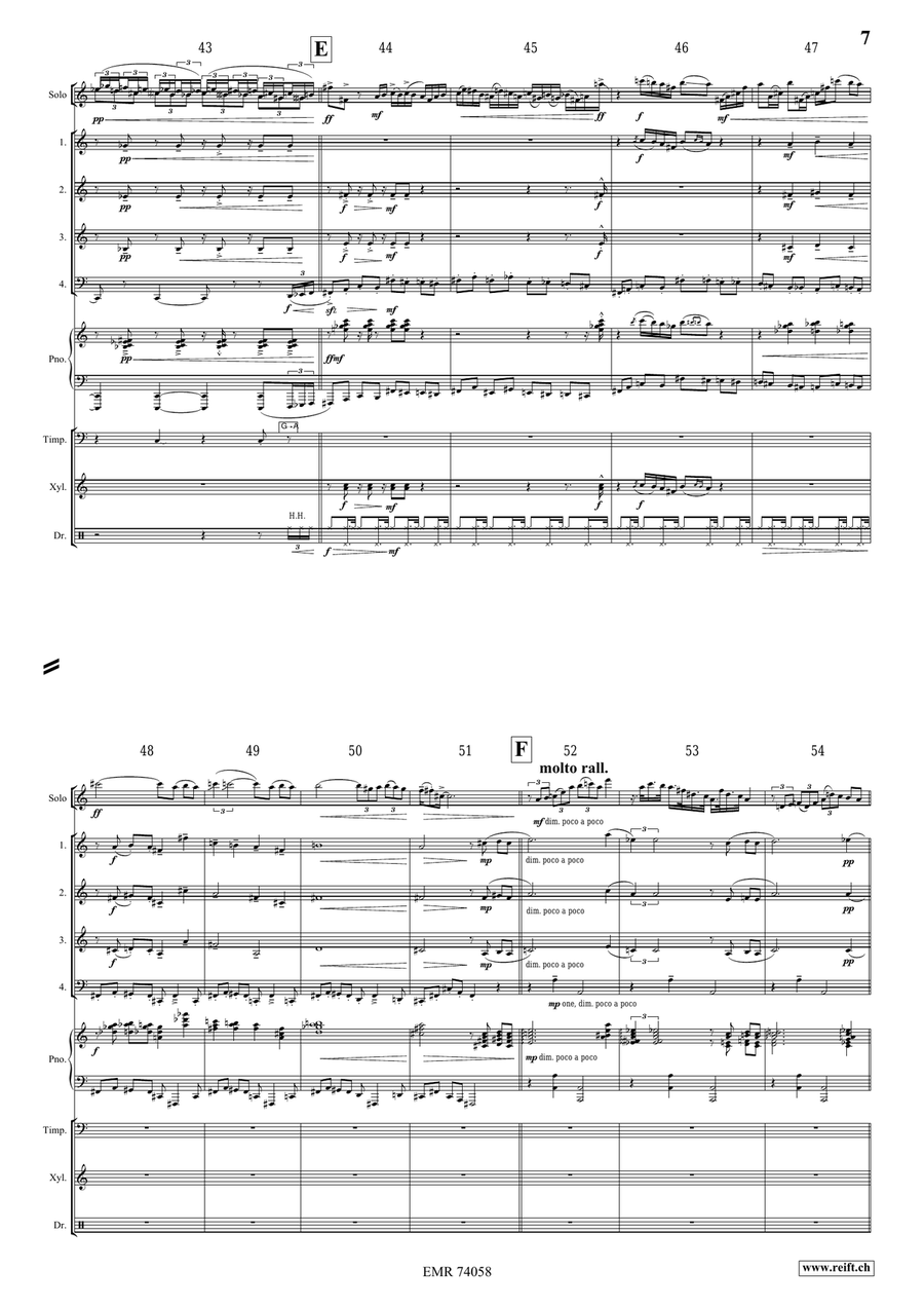 Fly or Die Fly or Die Flute Solo scores gallery preview page 8