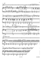 Oriental Scenes Flute Solo scores gallery preview page 7