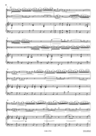 Concerto in G Minor Bassoon scores gallery preview page 4