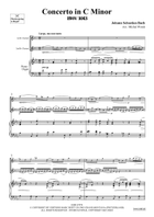 Concerto in C Minor Clarinet Duet scores gallery preview page 3