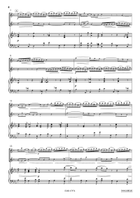 Concerto in C Minor Clarinet Duet scores gallery preview page 4