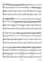 Concerto in G Minor Horn scores gallery preview page 4