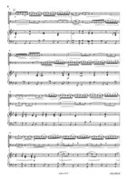 Concerto in G Minor Trombone scores gallery preview page 4