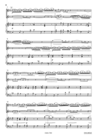 Concerto in C Minor Clarinet scores gallery preview page 4
