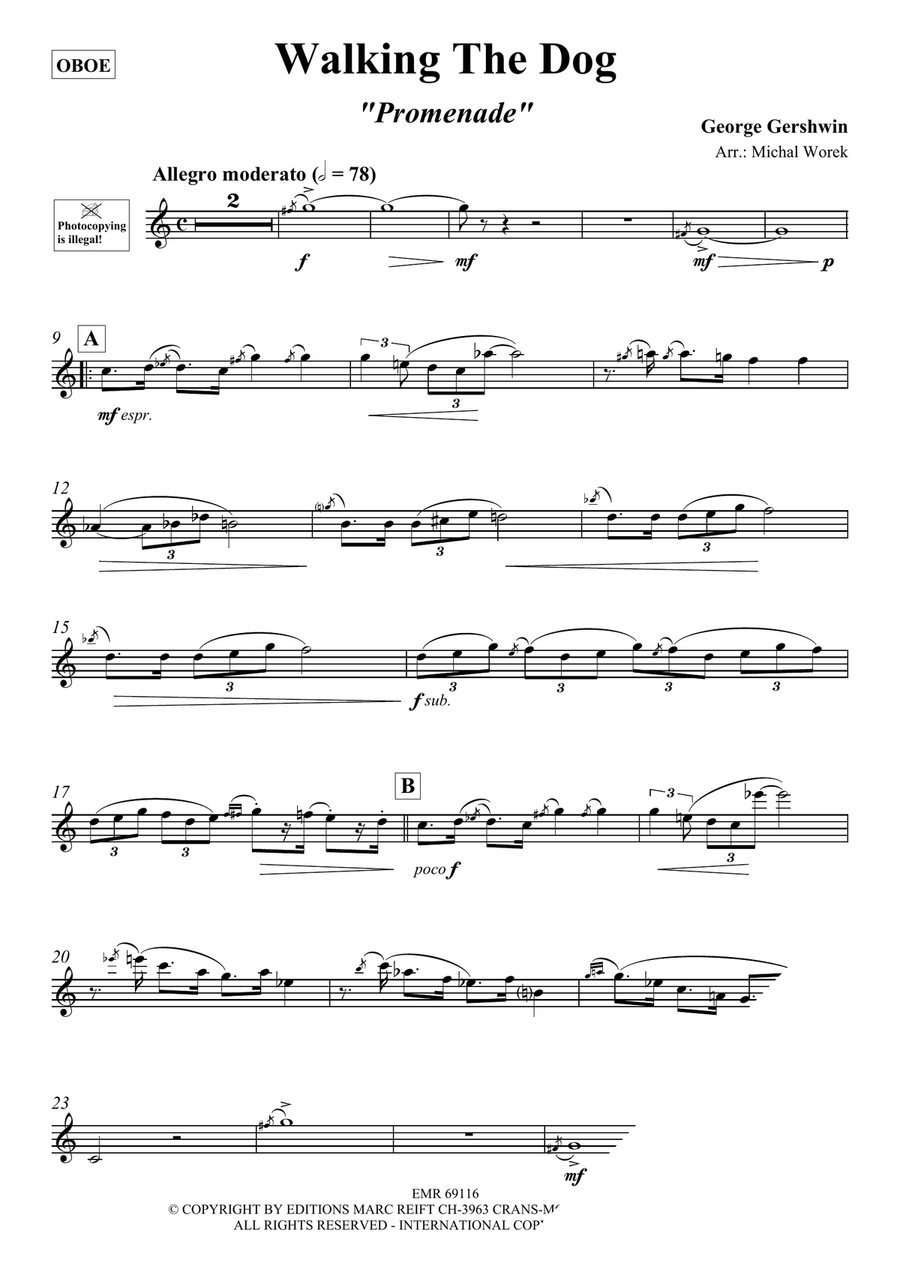Walking The Dog Walking The Dog Piano Accompaniment scores gallery preview page 3