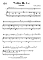 Walking The Dog Flute Solo scores gallery preview page 4