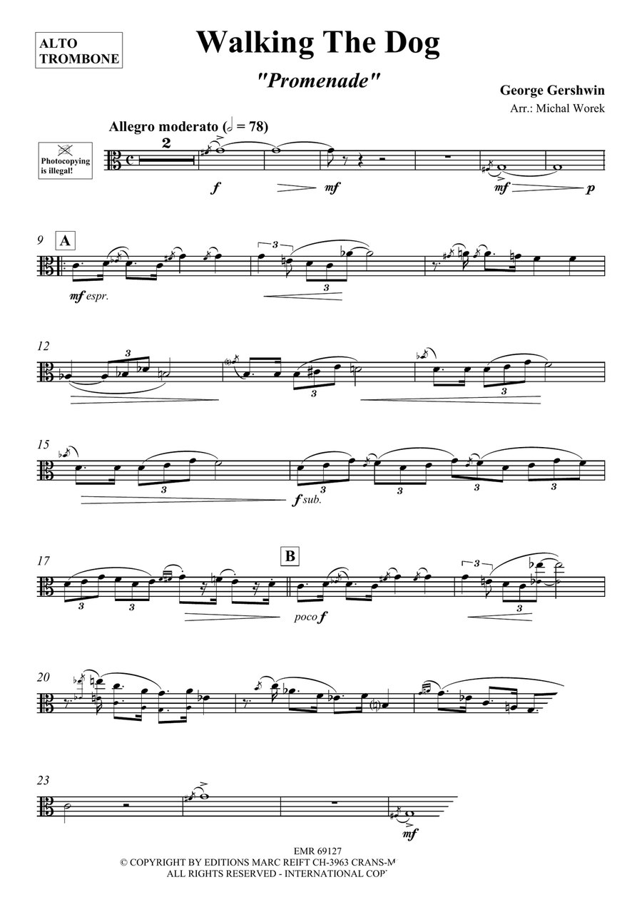 Walking The Dog Walking The Dog Piano Accompaniment scores gallery preview page 3