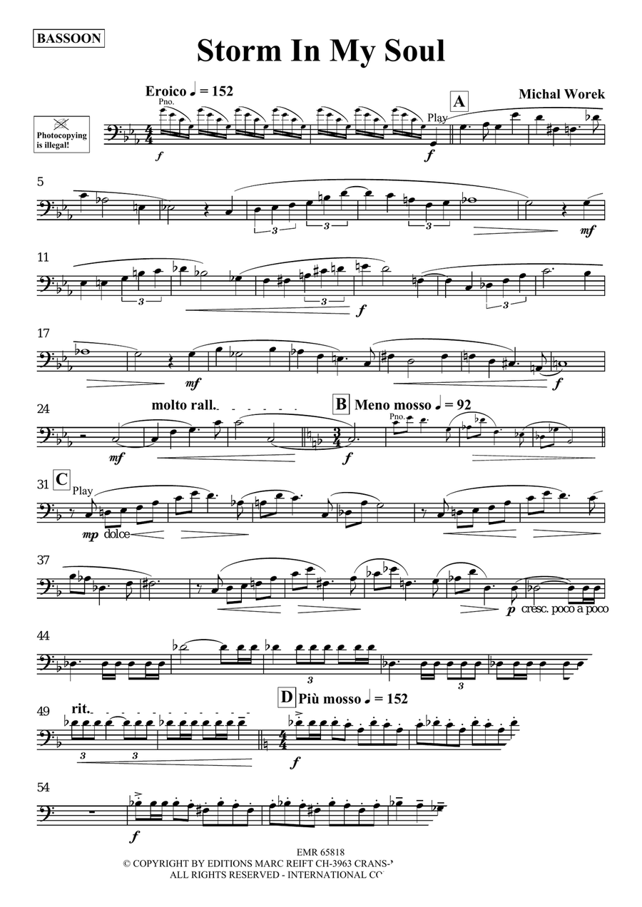 Storm In My Soul Storm In My Soul Bassoon Solo scores gallery preview page 3