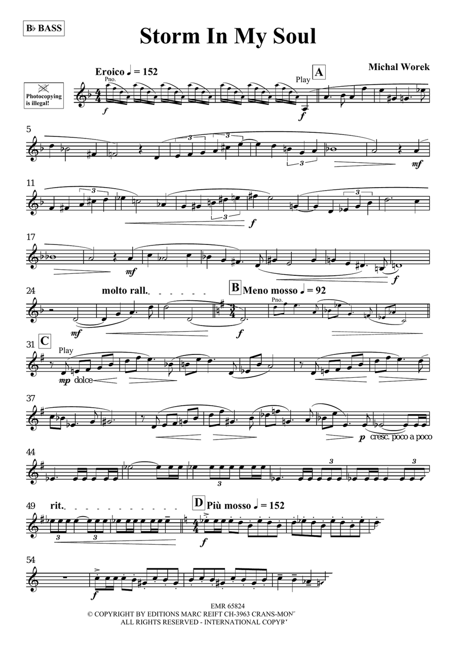 Storm In My Soul Storm In My Soul Voice Solo scores gallery preview page 3