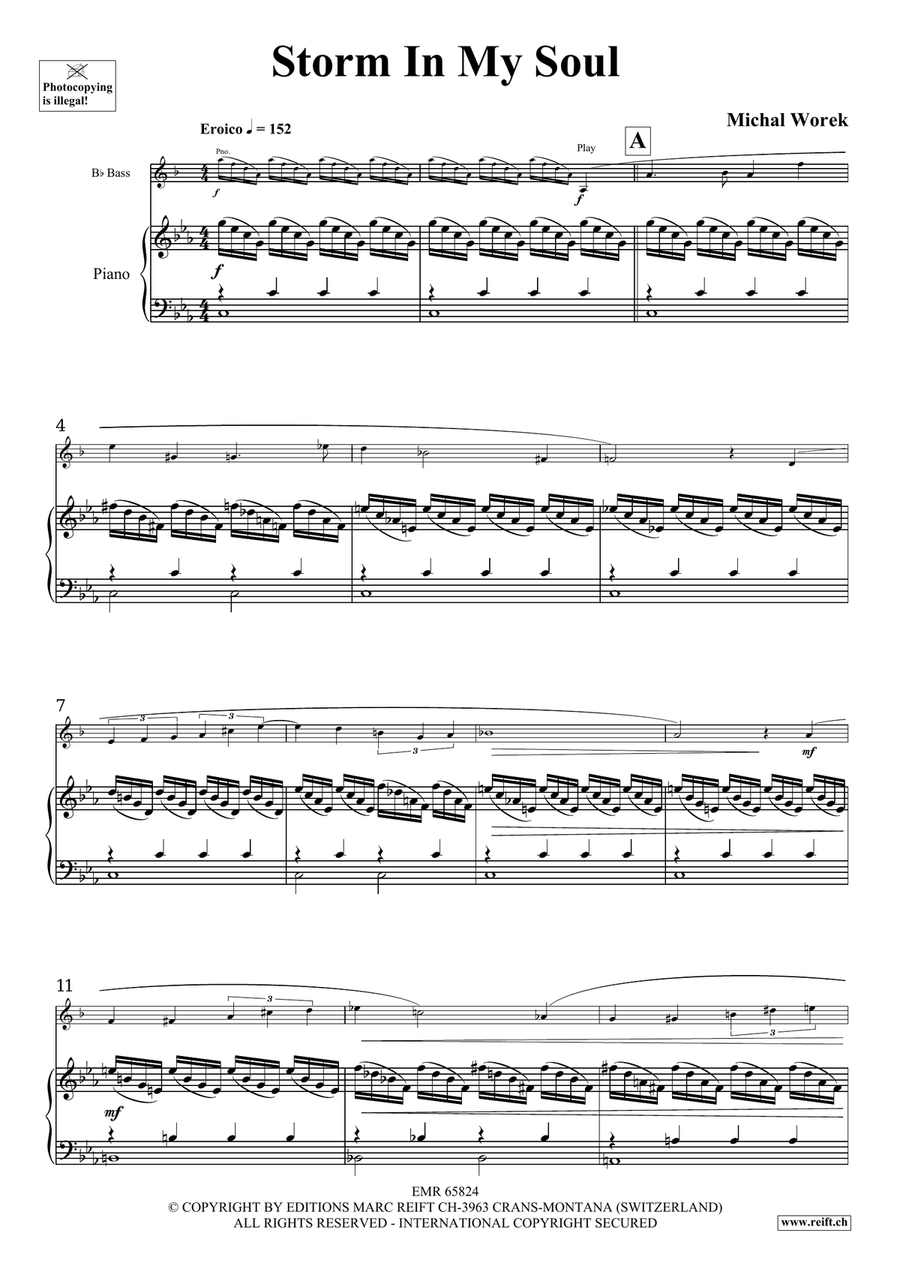 Storm In My Soul Storm In My Soul Voice Solo scores gallery preview page 4