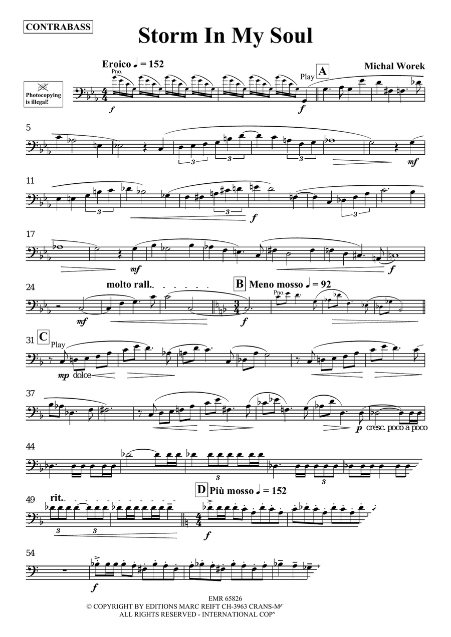 Storm In My Soul Storm In My Soul Double Bass scores gallery preview page 3