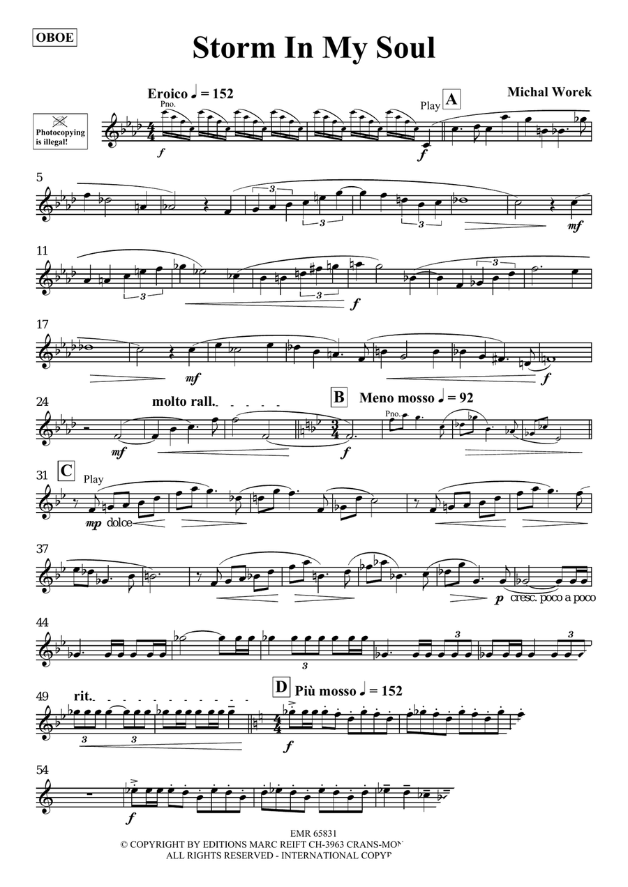 Storm In My Soul Piano Accompaniment scores gallery preview page 3