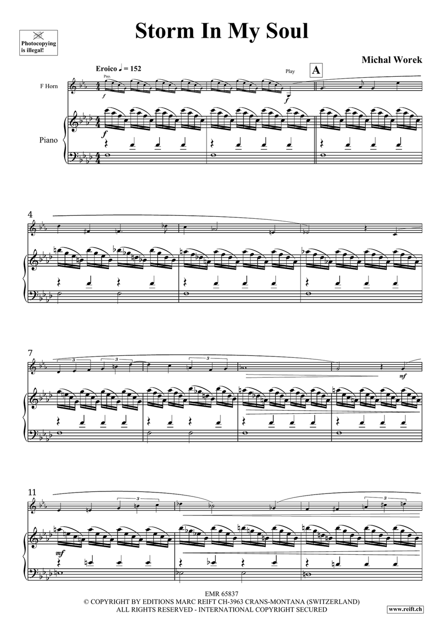Storm In My Soul Storm In My Soul Horn scores gallery preview page 4