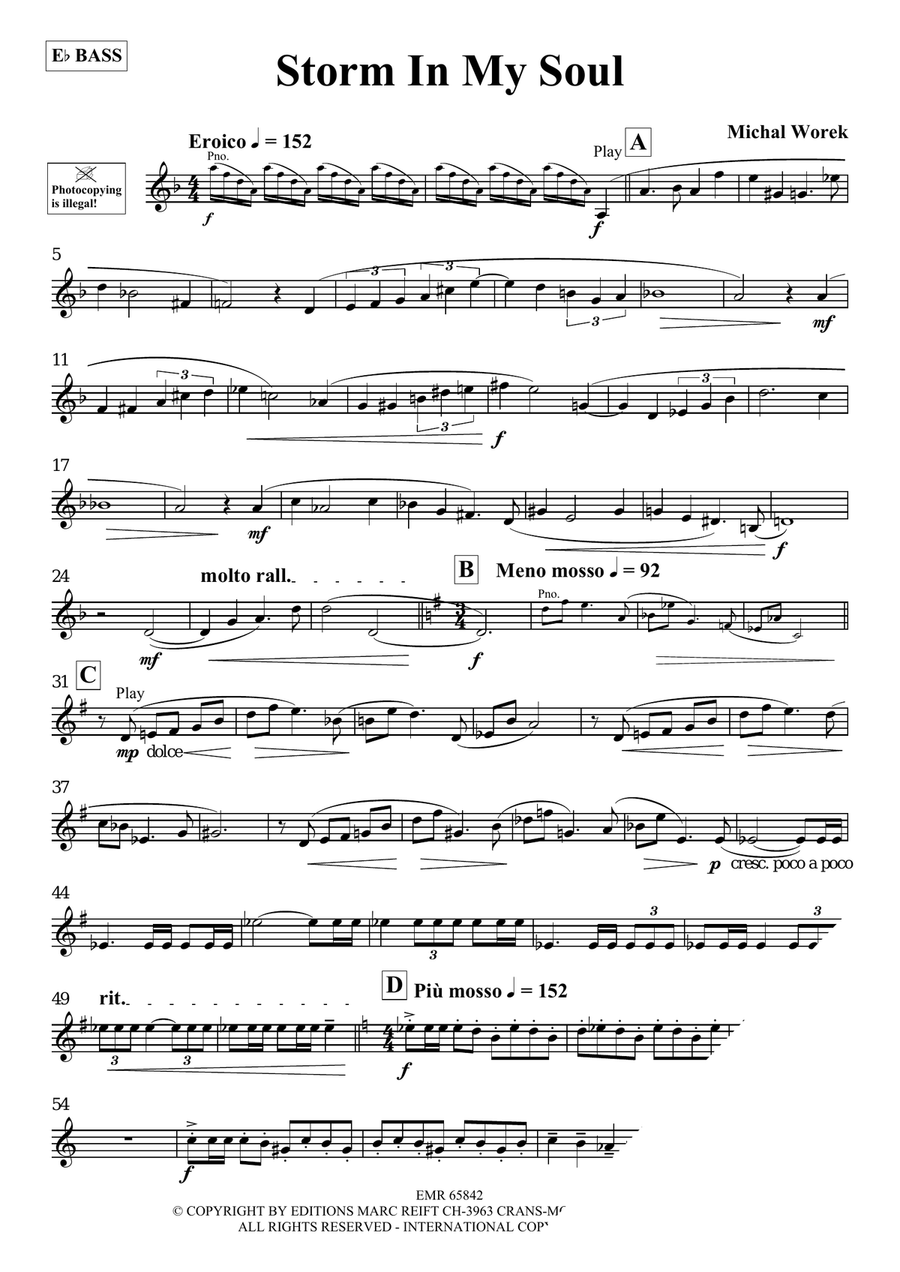 Storm In My Soul Storm In My Soul Voice Solo scores gallery preview page 3