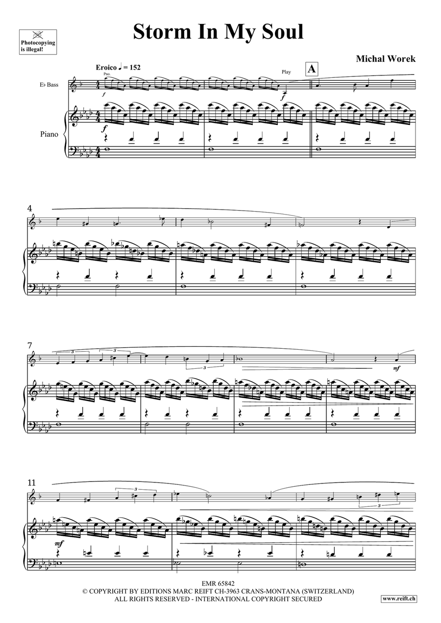 Storm In My Soul Storm In My Soul Voice Solo scores gallery preview page 4
