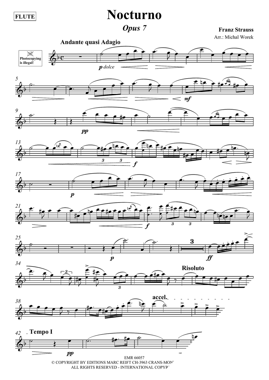 Nocturno Nocturno Flute Solo scores gallery preview page 3