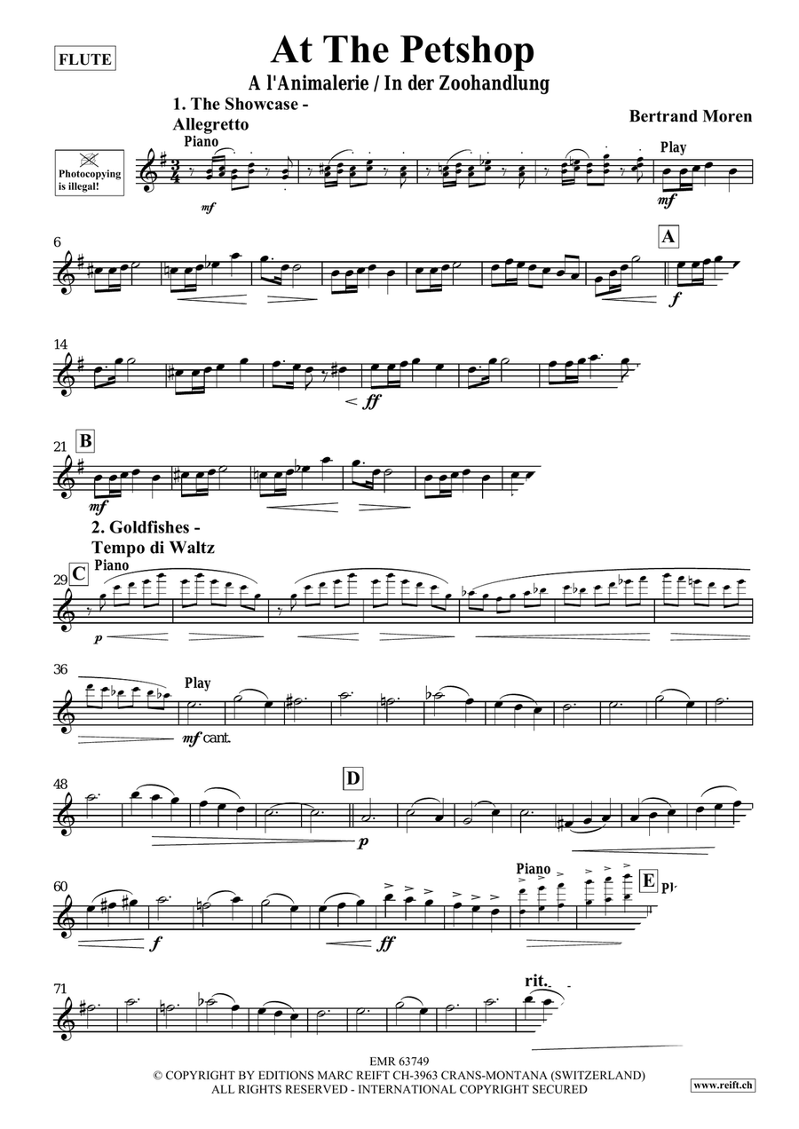 At The Pet Shop At The Pet Shop Flute Solo scores gallery preview page 4