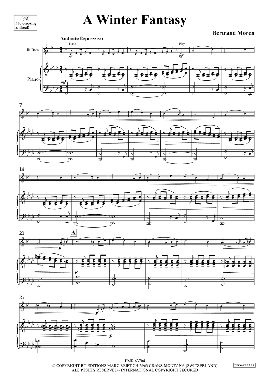 A Winter Fantasy A Winter Fantasy Voice Solo scores gallery preview page 5
