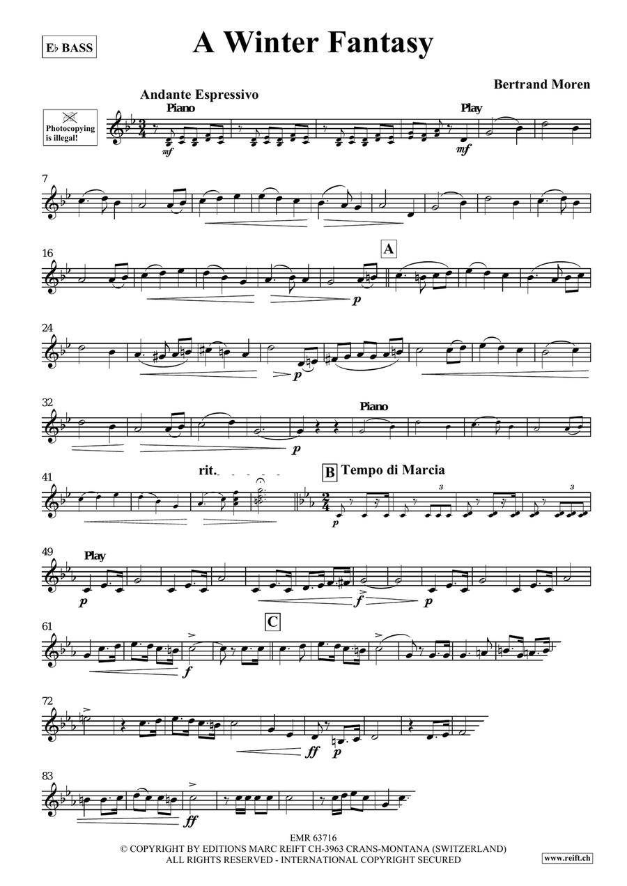 A Winter Fantasy A Winter Fantasy Voice Solo scores gallery preview page 4