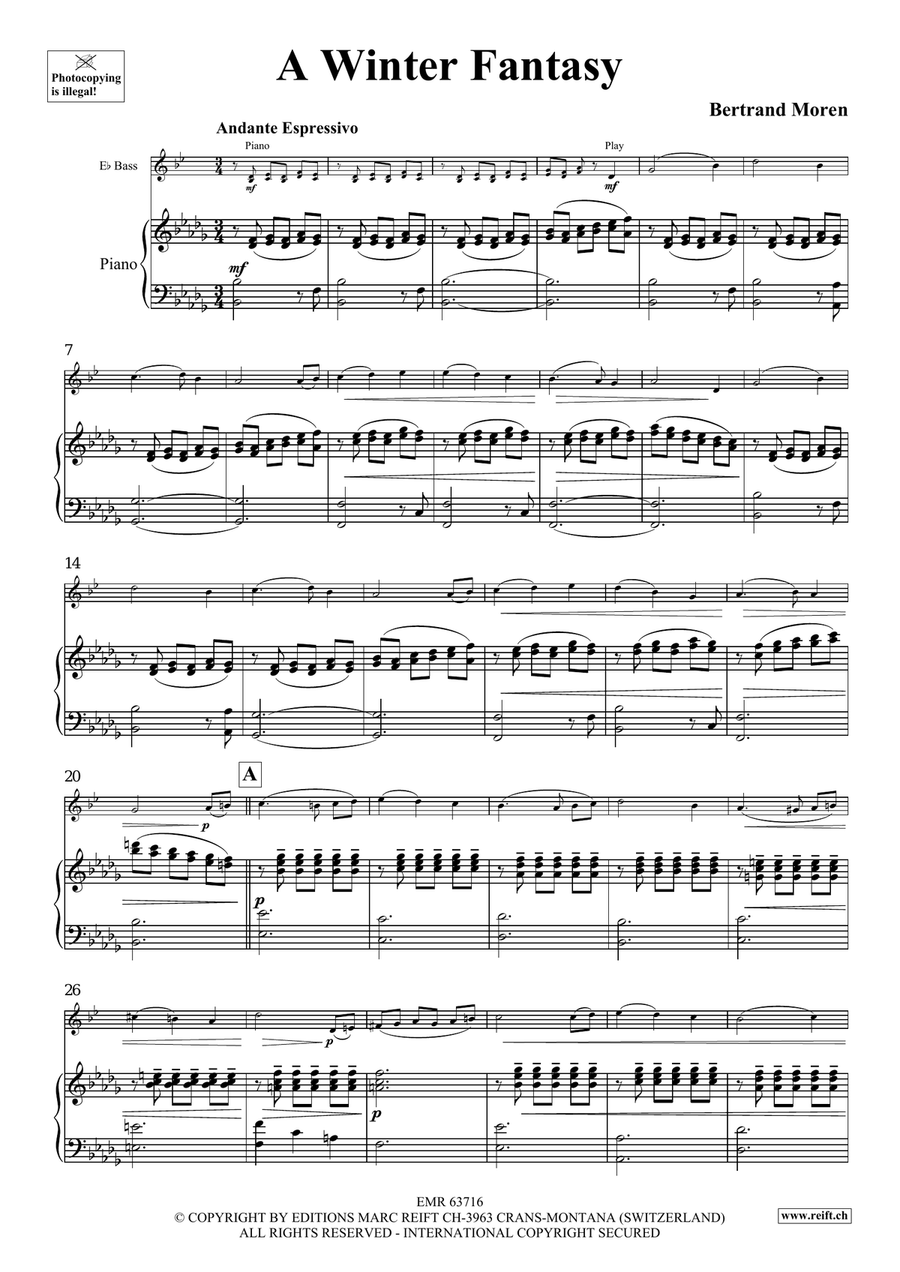 A Winter Fantasy A Winter Fantasy Voice Solo scores gallery preview page 5