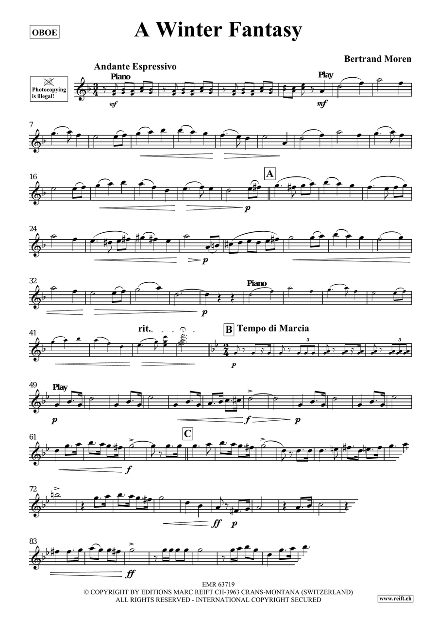 A Winter Fantasy A Winter Fantasy Piano Accompaniment scores gallery preview page 4