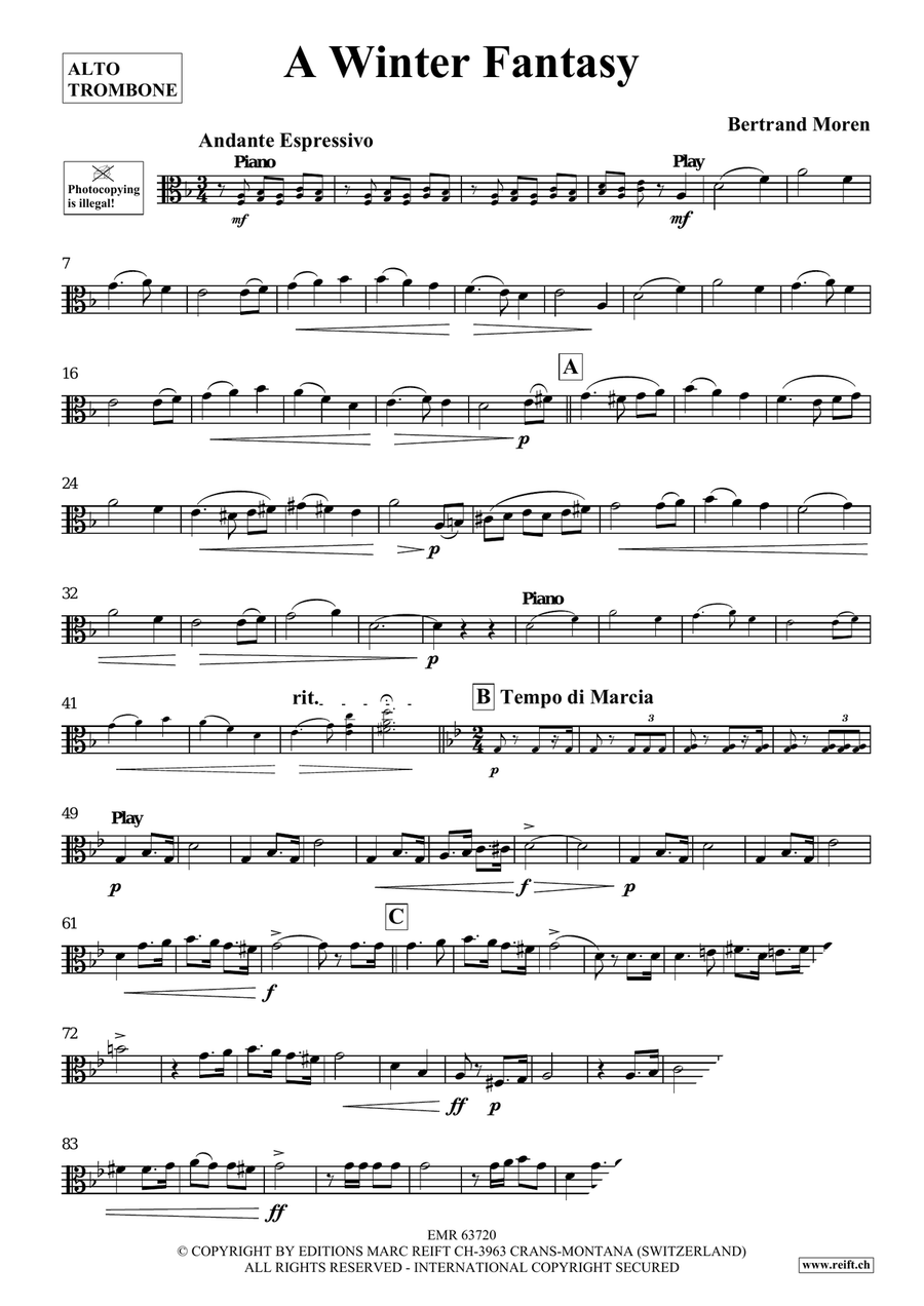 A Winter Fantasy A Winter Fantasy Piano Accompaniment scores gallery preview page 4
