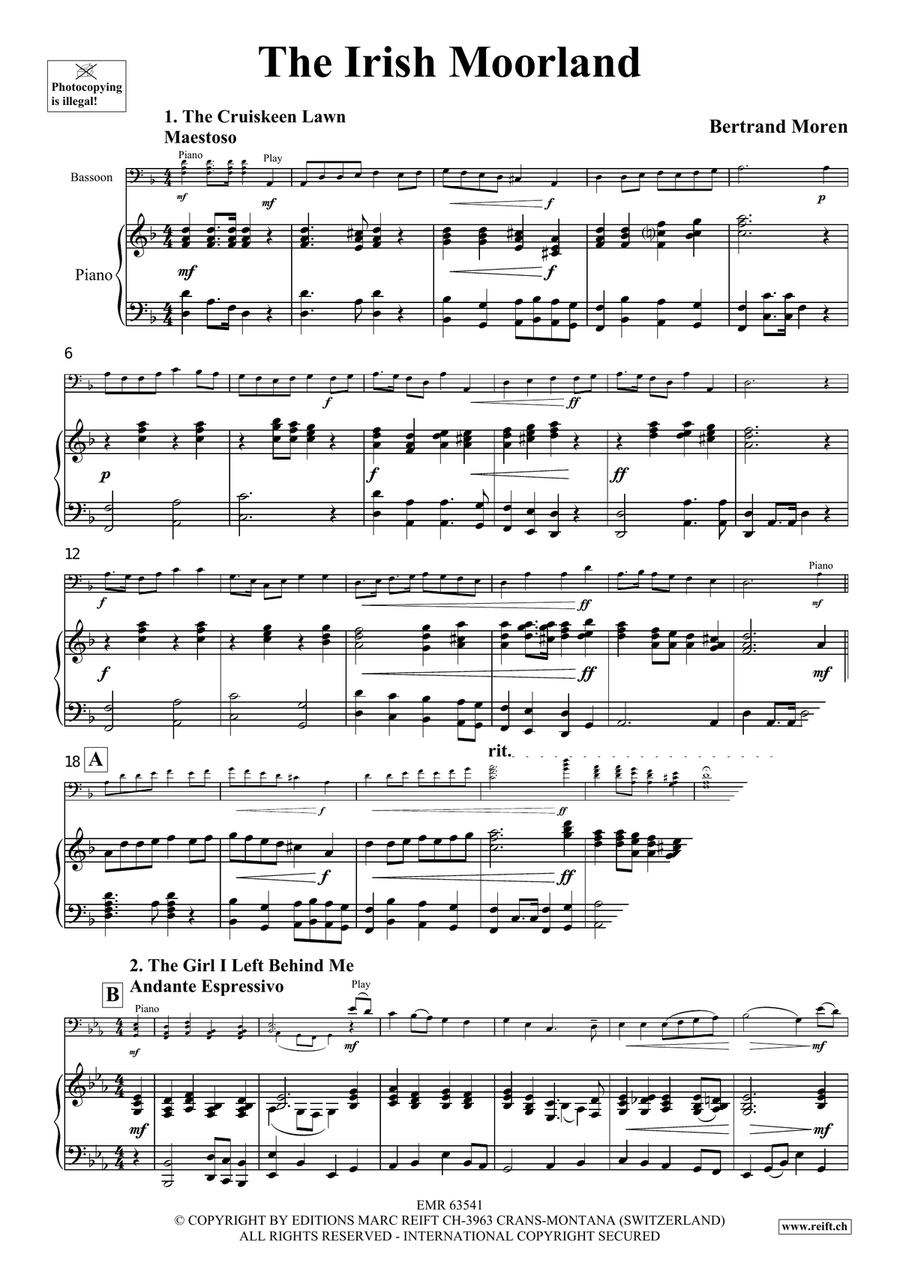 The Irish Moorland The Irish Moorland Bassoon Solo scores gallery preview page 4
