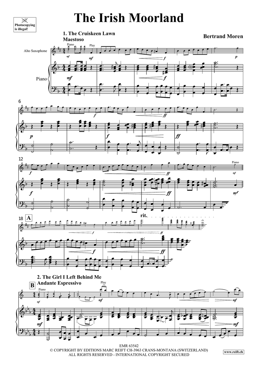 The Irish Moorland The Irish Moorland Alto Saxophone scores gallery preview page 4