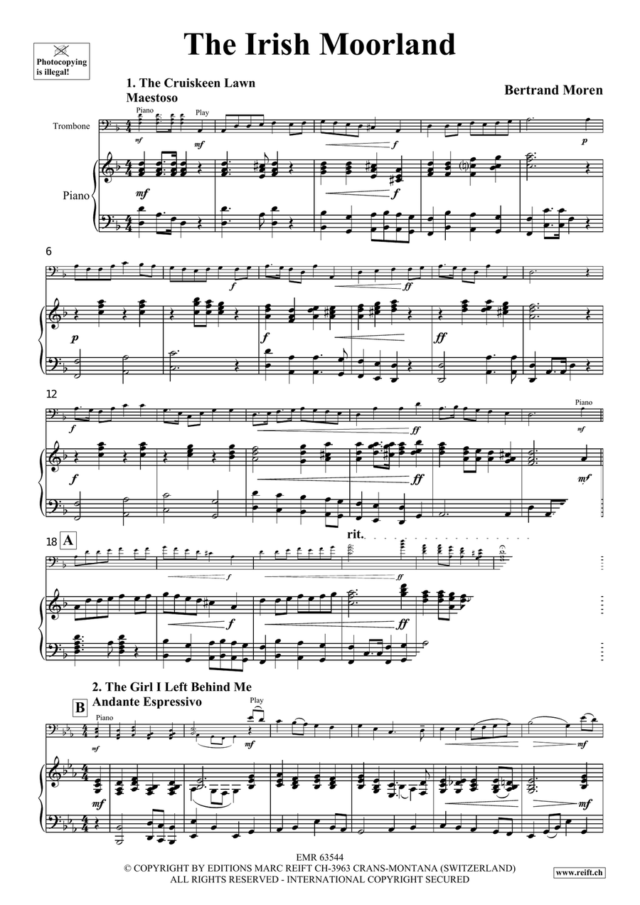 The Irish Moorland The Irish Moorland Piano Accompaniment scores gallery preview page 4