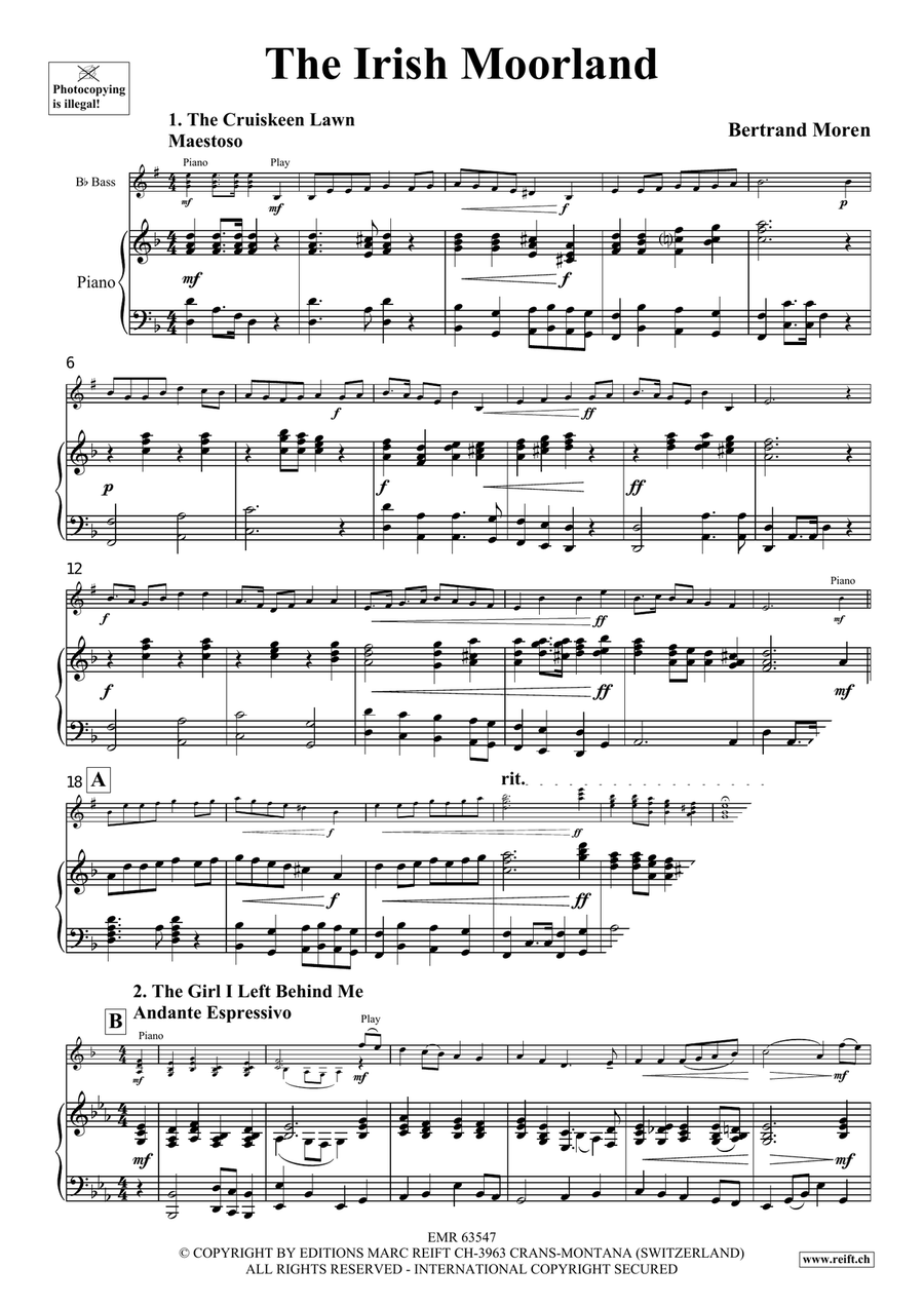 The Irish Moorland The Irish Moorland Voice Solo scores gallery preview page 4