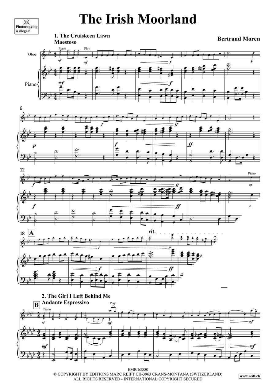 The Irish Moorland The Irish Moorland Piano Accompaniment scores gallery preview page 4