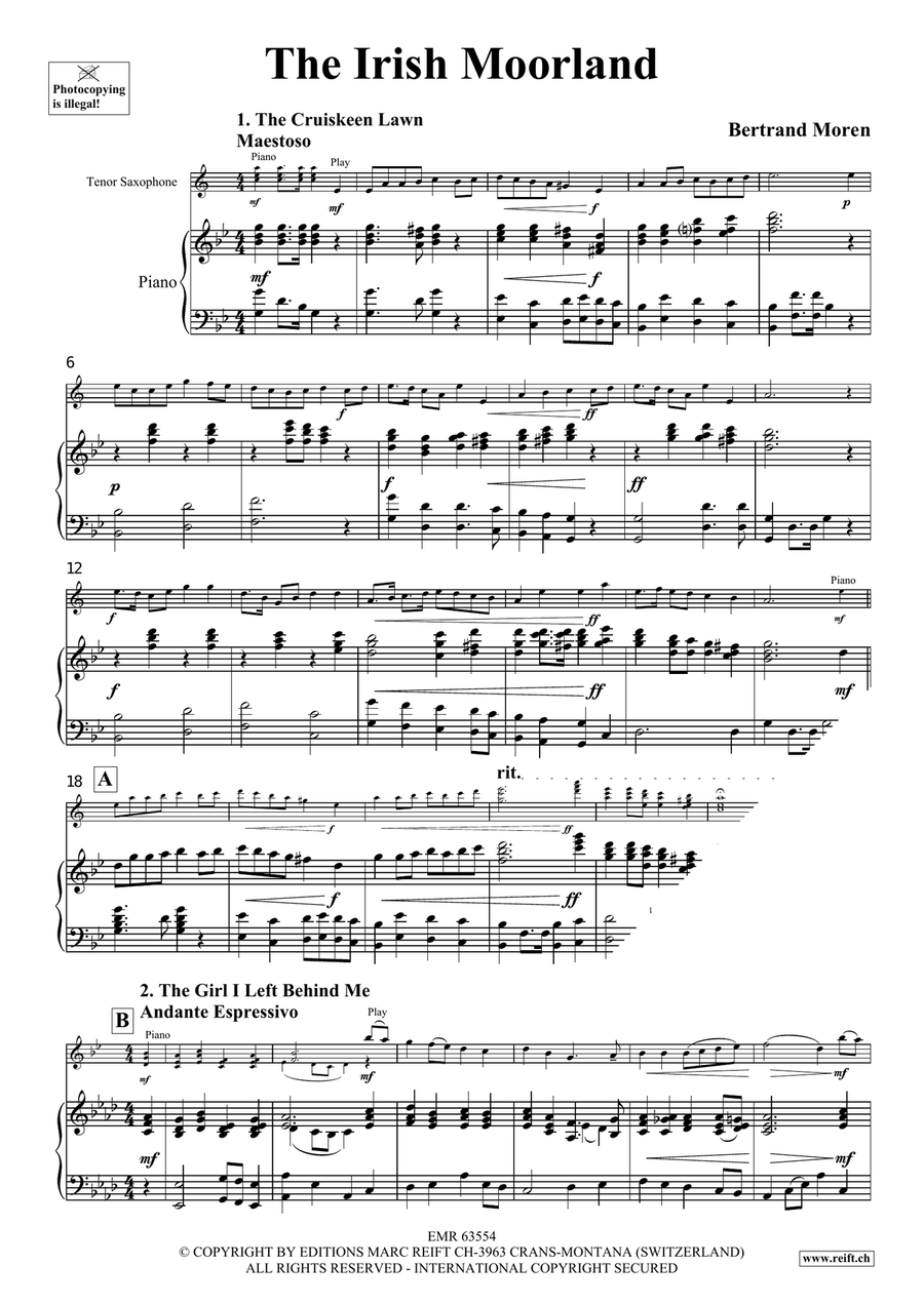 The Irish Moorland The Irish Moorland Tenor Saxophone scores gallery preview page 4