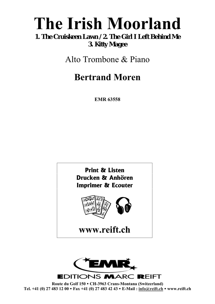 The Irish Moorland The Irish Moorland Piano Accompaniment scores gallery preview page 2